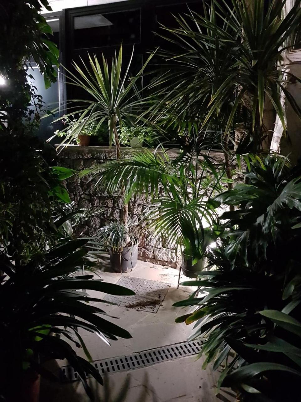 וגה דה סן מטאו Cho Almeida מראה חיצוני תמונה